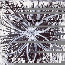 Item #79199631732045679610409293861376479058464126016282343108999058228390276366337 Media