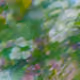 103852999123856156176336007489435975849603110730506755182510145612453907529729