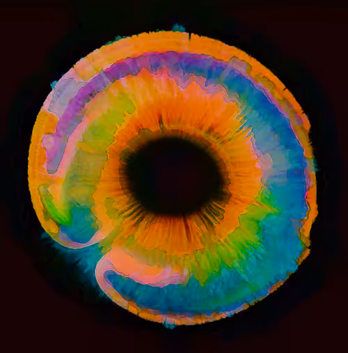 Item #75097028675579220658470996977583122016749496953200063695760013606660601806849 Media