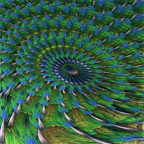 Item #37443895724214384824198737533920147998764876749489710508242055677950543527937 Media