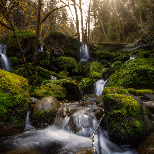 Lost Falls