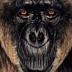 109162157552346088047496633038404394118504199992061596446112929723877431443457