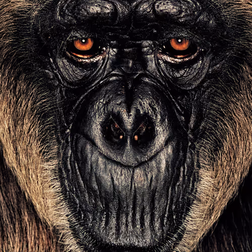 109162157552346088047496633038404394118504199992061596446112929723877431443457