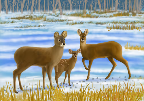 Item #113158669374427839684248314488913715368730880920869844839548125322252581339137 Media