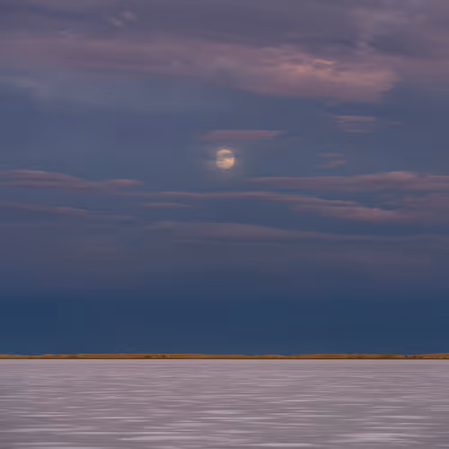 MatthewBorowick Collection