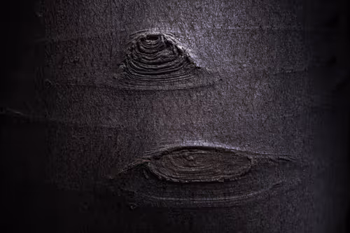 Item #55403408665547609189092792610750107765895786822855229620827418941562785103873 Media