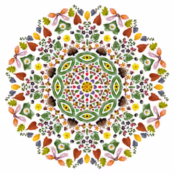 Primary Nature 049