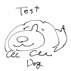testdog2_2