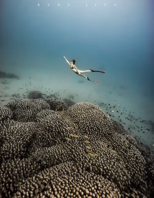 Item #75775185799272849085271004632709043340311400921657001030137476884160535592961 Media