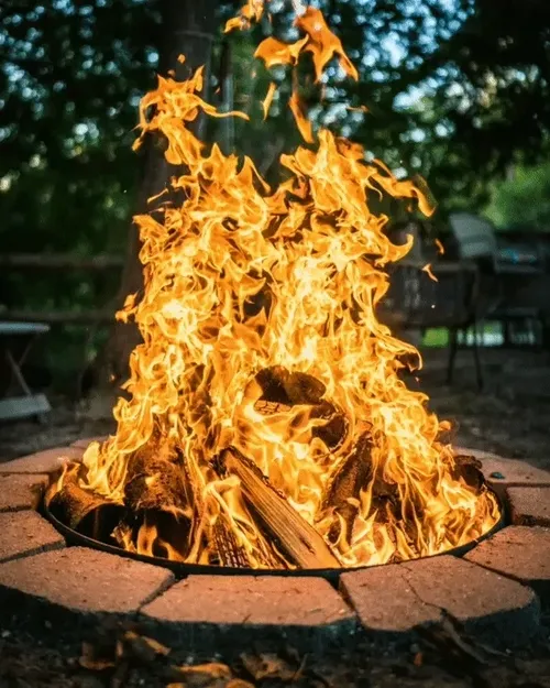 Item #69017446822111679045045995670166594693570264326858051534012552101757817192449 Media