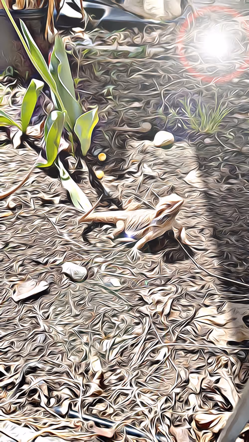 Item #101057092378302225736757120765437198261046760691228806068408149993571571728385 Media