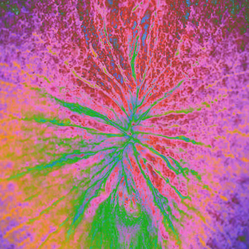 Item #38748192286267356930689689992324455160612969586483070519053316936922937950209 Media