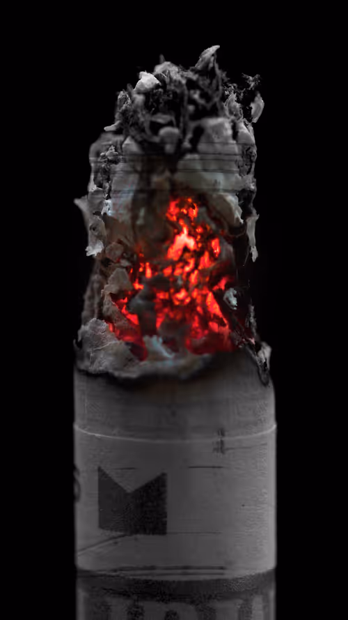 Item #61478686328515390295967162290099244266736070726302706574298323496081110859777 Media