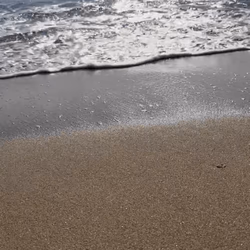 The Sound of the Sea for You