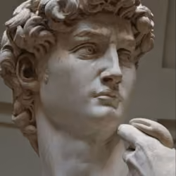 David 7