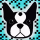 80658368129337691042389905778856592011954451497496062341822314081544791130113