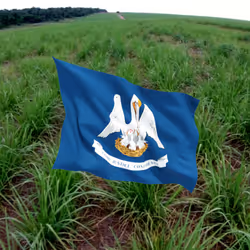 66014886227560344638299723756269507276387272419138927399704737819615104598017