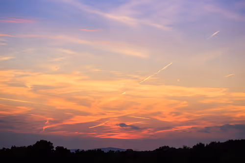 Item #1955808462375859957643046031357723895499971956545964229936624549279163219969 Media