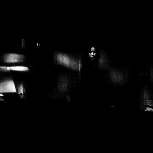 Untitled Collection #8817284