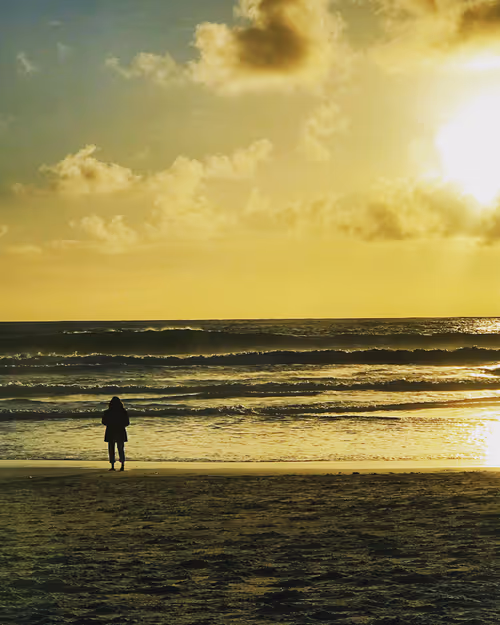 Item #70309904832749335577940030877631341890139087101035714528463337240424431484929 Media