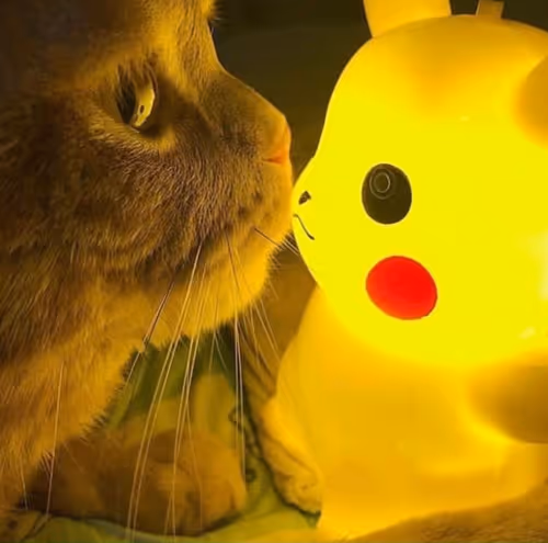 Item #506614017608188570824604822011872825915664813029036437365082839641875283969 Media