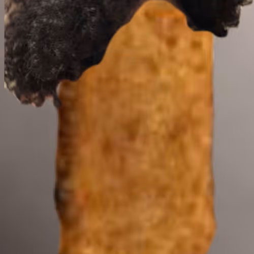 thejasonsingh Collection