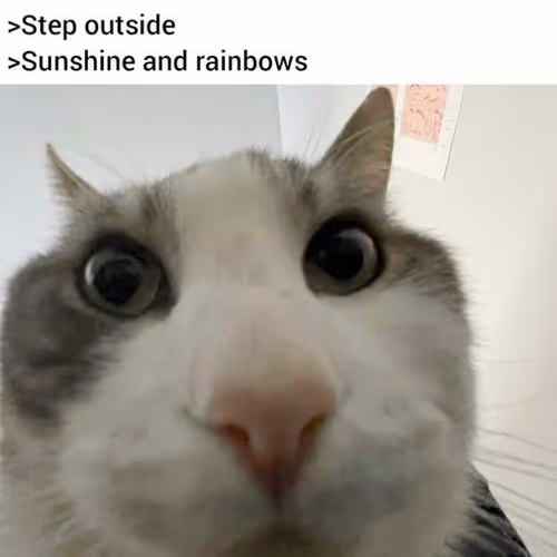 cute_anime_egirl666 Collection