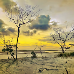 Fort De Soto Yellow Sunset