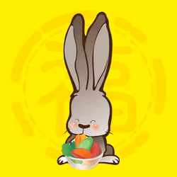 49543614003366014117765140999666901074831120380081509041107155910898548211713