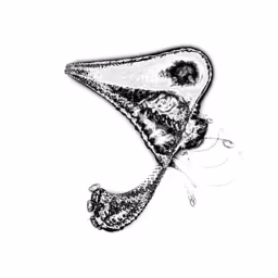 Item #87495691051819618160782043165871758120745529937108859909899536672554617929729 Media