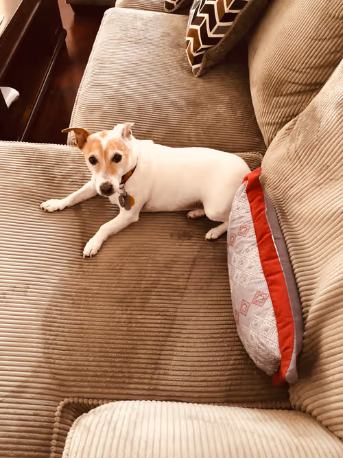 Item #5985210497355107417265215381210579199842884272282595265964883437498725826561 Media