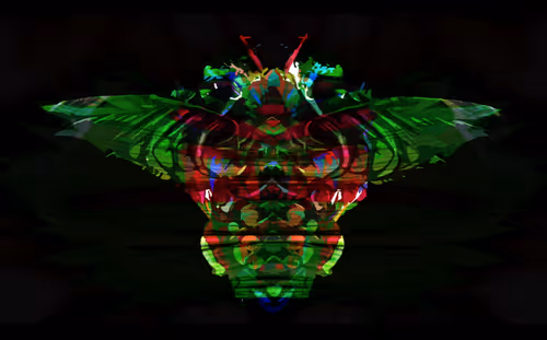 Item #46587444599907677881388917941552182193767250224418172546103463421524574208001 Media