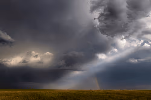 Editions by Lauren Thompson