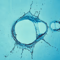 46489901761508154690977052556102681350934379687164571149816291682109886562305