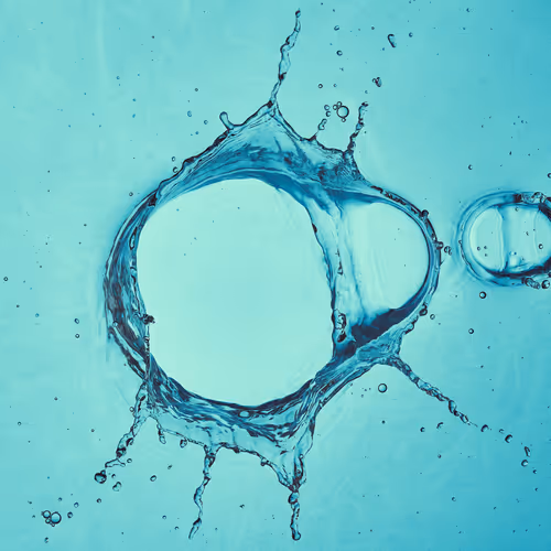 Item #46489901761508154690977052556102681350934379687164571149816291682109886562305 Media