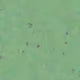37531177038730491477336035616113302370174271974729709618133218305532107948033