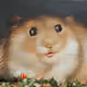 108450708106229657807954631574873484757995218735650426018252074405501668950017