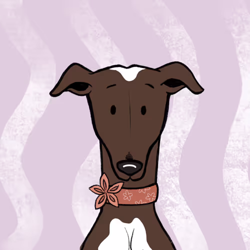 Item #79828674038785801618554714481460533187732396910750073719390133626915004612609 Media