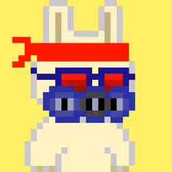 19857446912603731264104501036786989057485950068810057542703612437829672501249