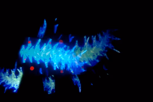 Item #67457553150443021914092587022250176347061355639032054621716075712276538064897 Media