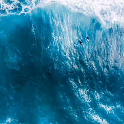 79655167907517619364713975577317788096264741034631426669771217893225010298881