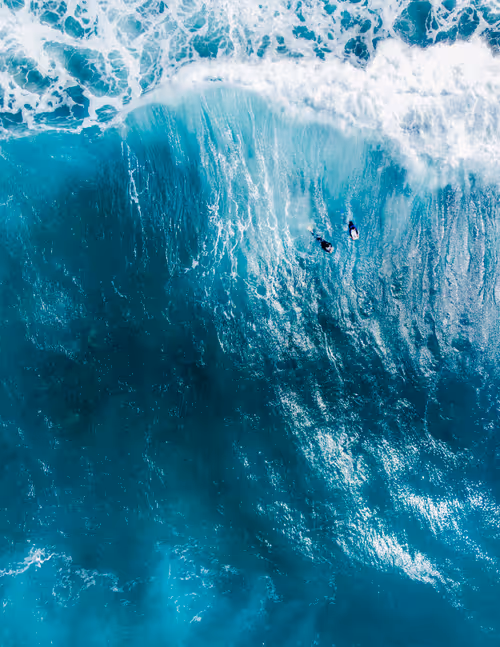 Item #79655167907517619364713975577317788096264741034631426669771217893225010298881 Media