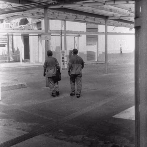 South American Tale Edition