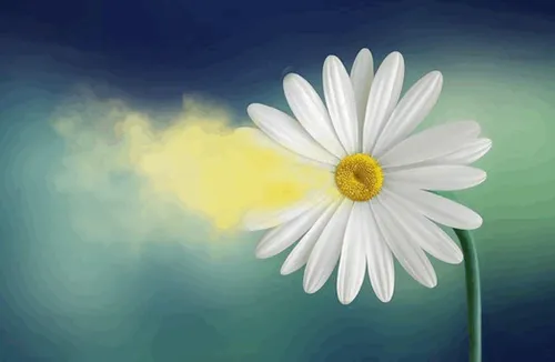 Item #31900271073354632832991890429912638653086322620126594410230774037014527344641 Media