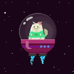 Chonk #006