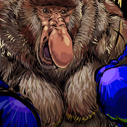 24427015361502395679383015096798352629317293472422721584968238901862053445633