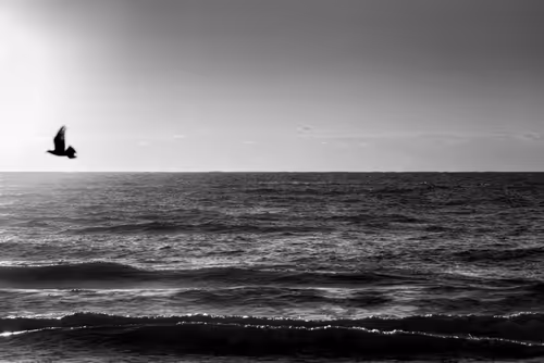 Item #87014449869533570037258101988122133423496035447680150931597385514656794148865 Media