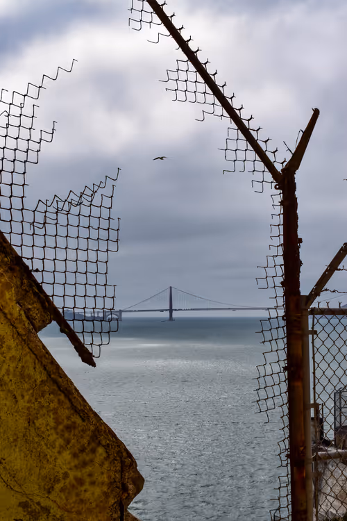 Item #32571599381915271373932081734413523199662368028101372806219517597436944056321 Media