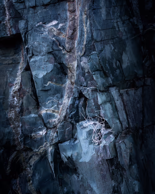 Item #92025450797269199699519638407999947828010124563072321716364901891354002456577 Media