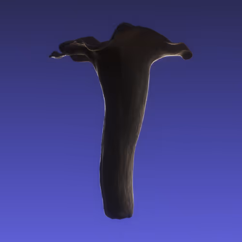 Item #95653877050150474555742155054455970472164202465768371638498213971186067439617 Media